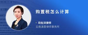购置税怎么计算