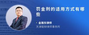 罚金刑的适用方式有哪些