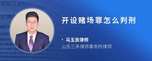 开设赌场罪怎么判刑