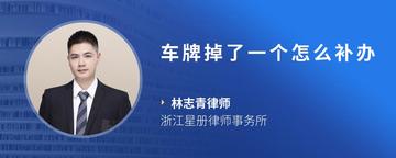 车牌掉了一个怎么补办