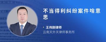 不当得利纠纷案件啥意思
