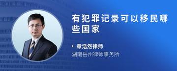 有犯罪记录可以移民哪些国家