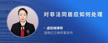 对非法同居应如何处理