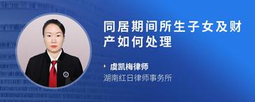 同居期间所生子女及财产如何处理