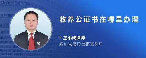 收养公证书在哪里办理