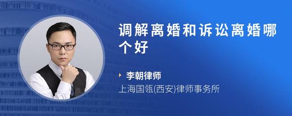调解离婚和诉讼离婚哪个好