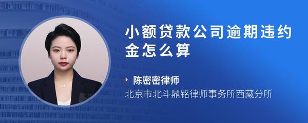 小额贷款公司逾期违约金怎么算