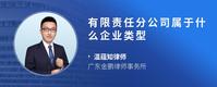 有限责任分公司属于什么企业类型