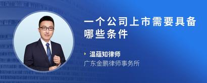 一个公司上市需要具备哪些条件
