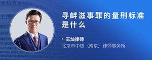 寻衅滋事罪的量刑标准是什么