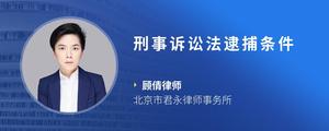 刑事诉讼法逮捕条件
