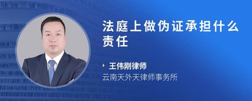 法庭上做伪证承担什么责任
