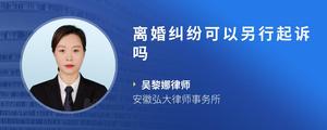 离婚纠纷可以另行起诉吗