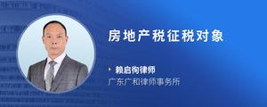 房地产税征税对象