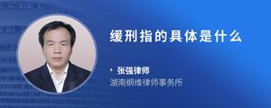 缓刑指的具体是什么