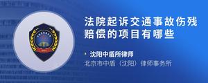 法院起诉交通事故伤残赔偿的项目有哪些?