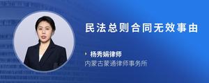 民法总则合同无效事由