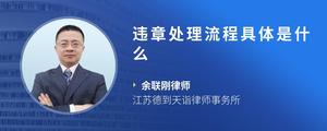 违章处理流程具体是什么