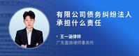 有限公司债务纠纷法人承担什么责任