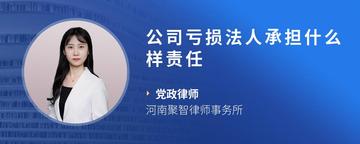 公司亏损法人承担什么样责任
