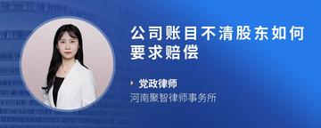 公司账目不清股东如何要求赔偿