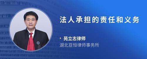 法人承担的责任和义务