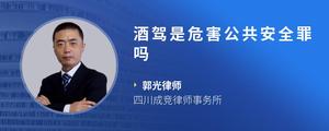 酒驾是危害公共安全罪吗