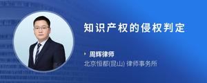 知识产权的侵权判定