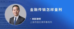金融传销怎样量刑