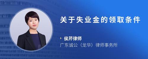 关于失业金的领取条件