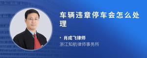 车辆违章停车会怎么处理