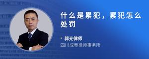 什么是累犯，累犯怎么处罚