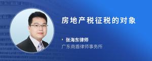房地产税征税的对象