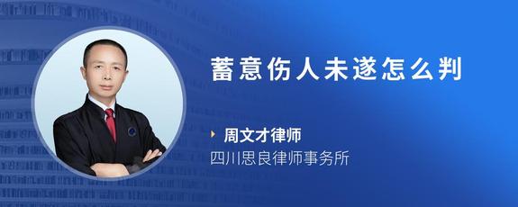 蓄意伤人未遂怎么判