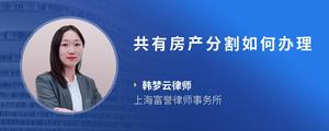共有房产分割如何办理