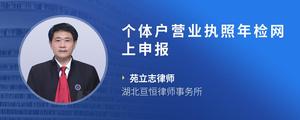 个体户营业执照年检网上申报