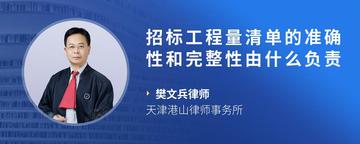 招标工程量清单的准确性和完整性由什么负责