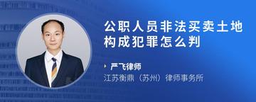 公职人员非法买卖土地构成犯罪怎么判