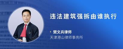 违法建筑强拆由谁执行