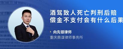酒驾致人死亡判刑后赔偿金不支付会有什么后果