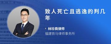 致人死亡且逃逸的判几年