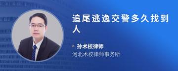 追尾逃逸交警多久找到人