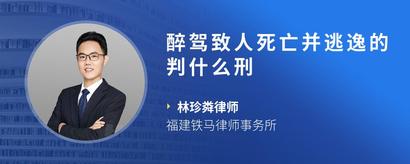 醉驾致人死亡并逃逸的判什么刑