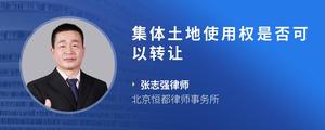 集体土地使用权是否可以转让