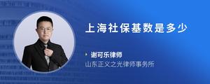 上海社保基数是多少