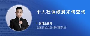 个人社保缴费如何查询