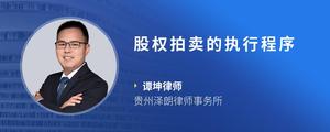 股权拍卖的执行程序