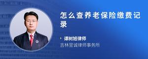 怎么查养老保险缴费记录