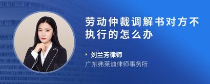 劳动仲裁调解书对方不执行的怎么办