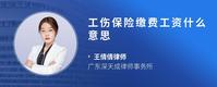 工伤保险缴费工资什么意思